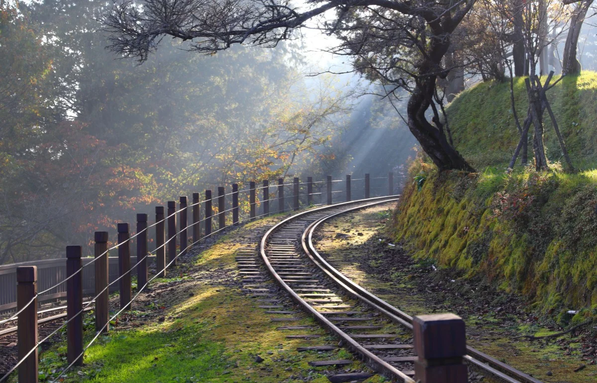 熊猫体育全站APP下载-关于爱沙尼亚战胜劲敌，重返胜利轨道的信息