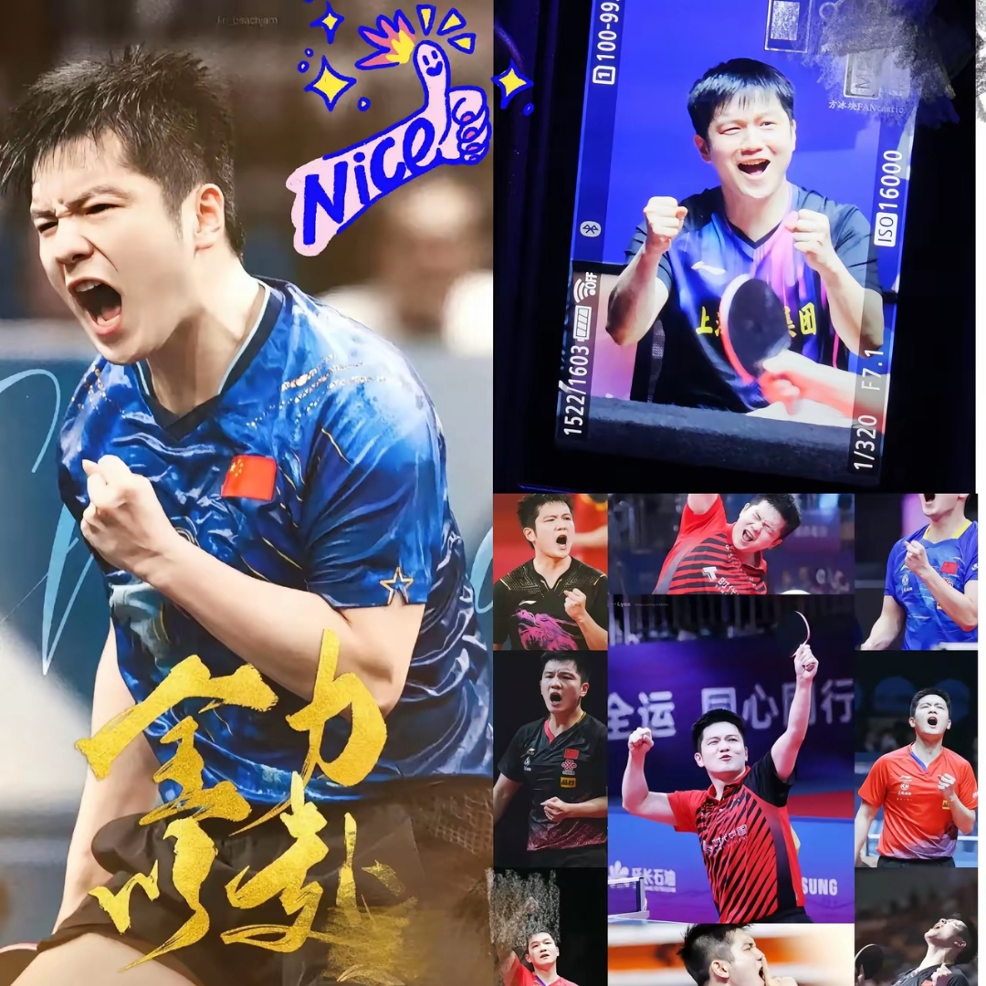 熊猫体育官方-德国队完胜中国队，樊振东高光表现的简单介绍